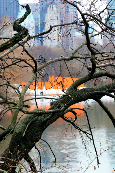 The Gates Art Exhibit - Central Park